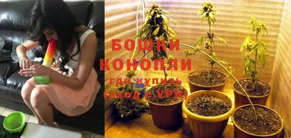 бошки Белокуриха