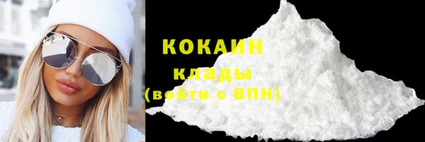 бошки Белокуриха
