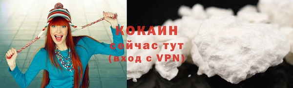 бошки Белокуриха