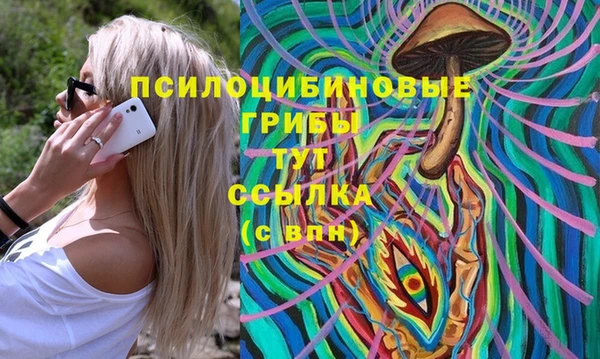 бошки Белокуриха