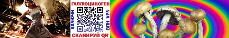 Псилоцибиновые грибы MAGIC MUSHROOMS  где купить наркоту  Безенчук 